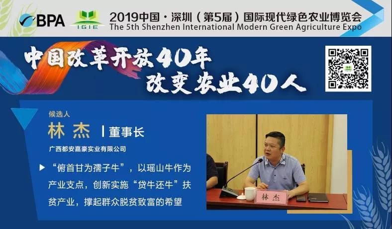 【改變農(nóng)業(yè)40人】林杰——石山王國(guó)脫貧攻堅(jiān)領(lǐng)路人