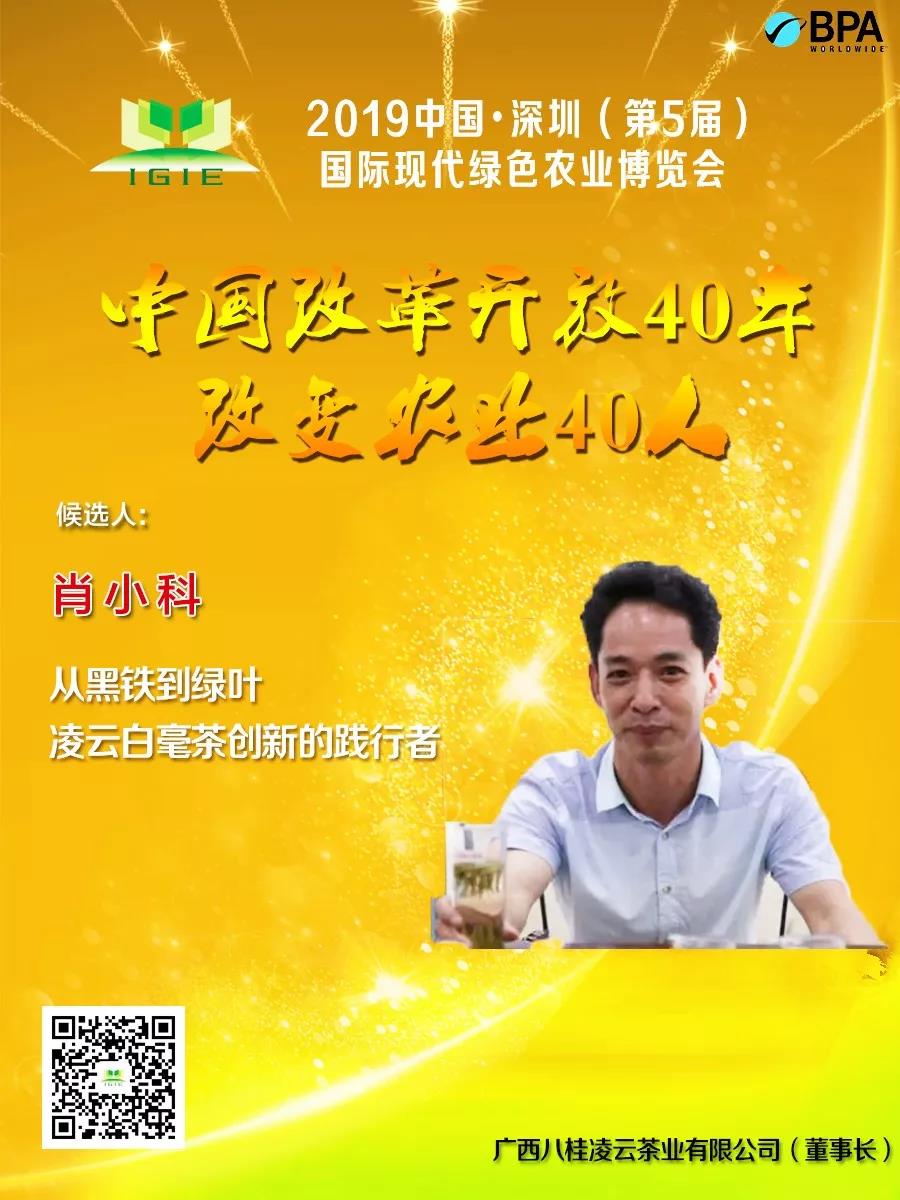 【改變農業(yè)40人】從黑鐵到綠葉，凌云白毫茶創(chuàng)新的踐行者！