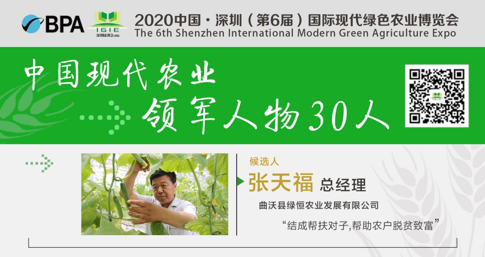 【現(xiàn)代農(nóng)業(yè)領(lǐng)軍人物30人】張?zhí)旄！怨ご俎r(nóng)產(chǎn)業(yè)興，脫貧致富生態(tài)優(yōu)