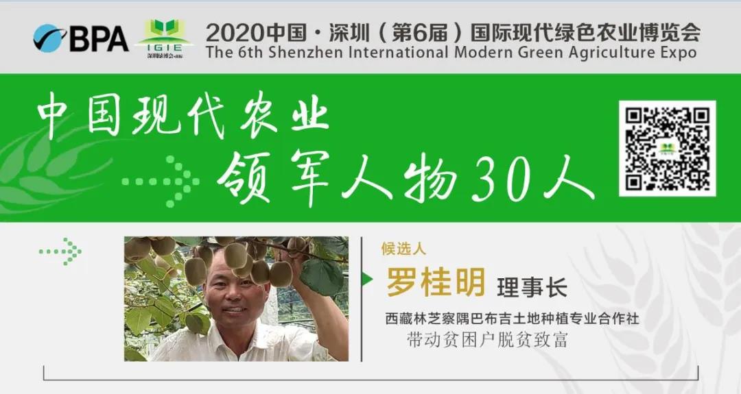 【現(xiàn)代農(nóng)業(yè)領(lǐng)軍人物30人】羅桂明——帶動(dòng)一方發(fā)展、富裕一方群眾