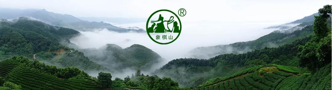 【每周優(yōu)品】原始生態(tài)，自然有機(jī)——象棋山有機(jī)茶