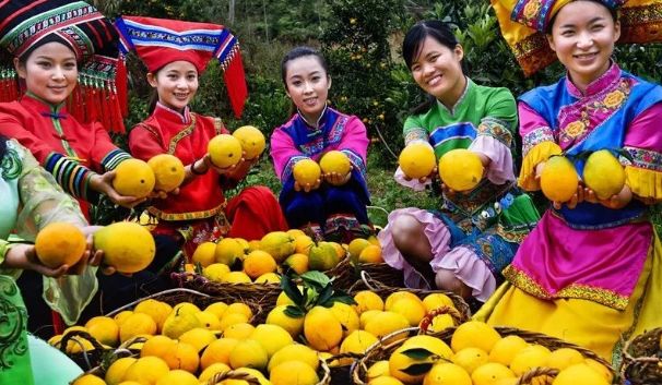 【每周優(yōu)品】一不小心就愛上了它，想不到你是這樣的德保臍橙！??！