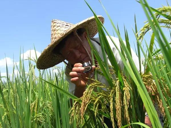 中國人14億，我是一員，我為祖國貢獻(xiàn)了什么？