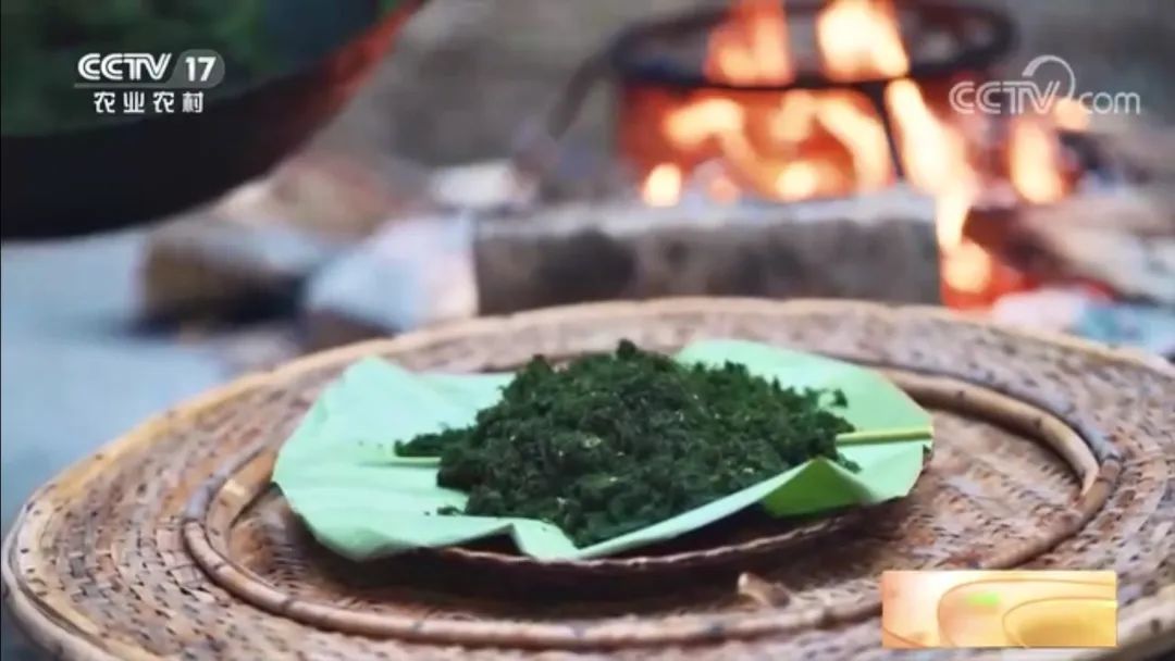 【綠色好心情】別拿青苔不當(dāng)美食！絕對(duì)夠鮮、夠野、夠特別