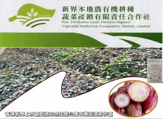 【每周優(yōu)品】香港本地紅薯——好吃不貴，營養(yǎng)豐富！